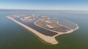 Marker Wadden